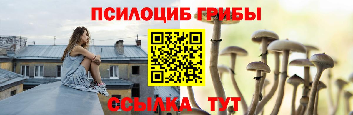 Галлюциногенные грибы прущие грибы  что такое   Снежинск  Вход с VPN 