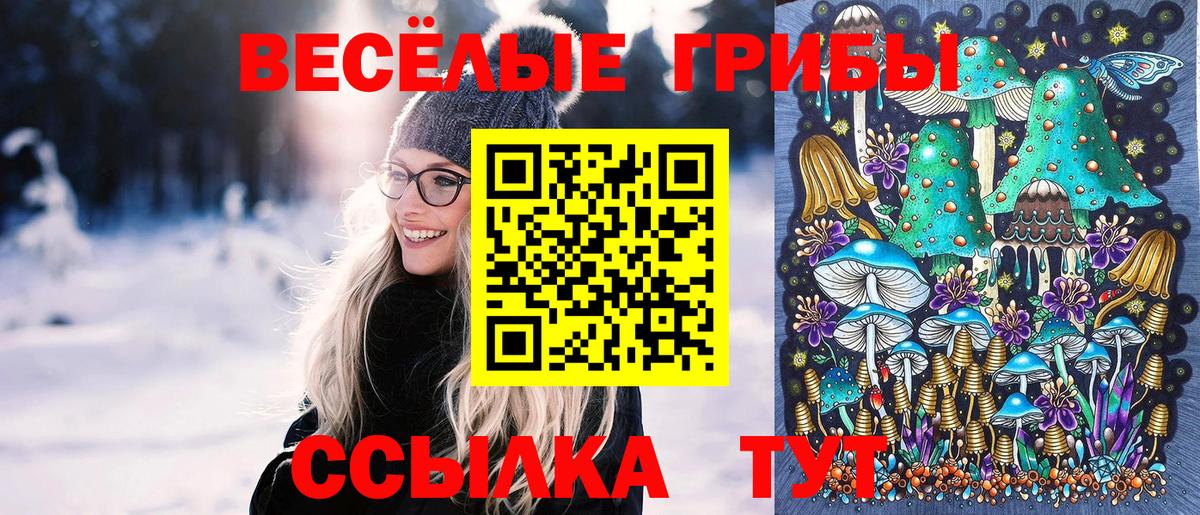 Галлюциногенные грибы Psilocybe Снежинск